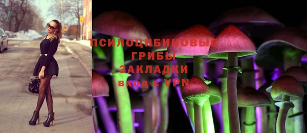 mdpv Магадан
