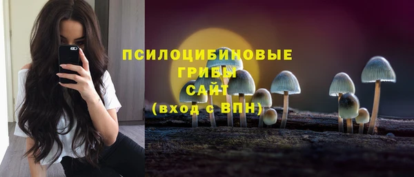 молекула духа Магас