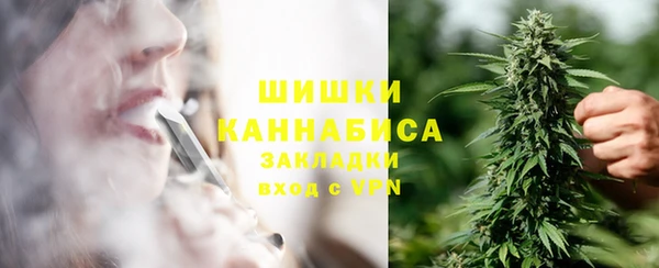 индика Лихославль
