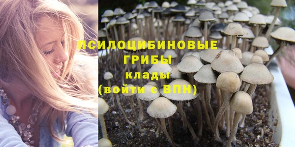 индика Лихославль