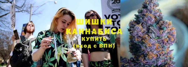 индика Лихославль