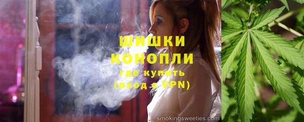 индика Лихославль