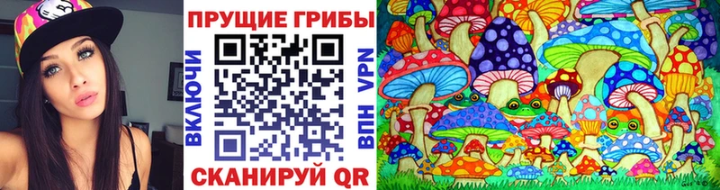 сайты даркнета наркотические препараты  Кудрово  Псилоцибиновые грибы Psilocybe 