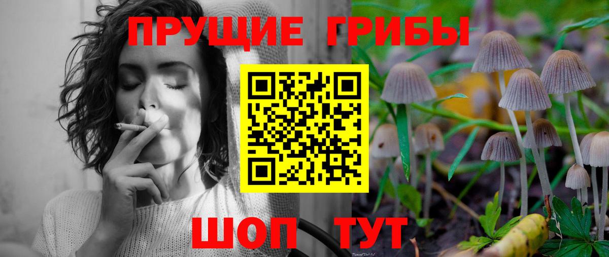 Галлюциногенные грибы GOLDEN TEACHER  Вход с VPN  Кудрово 
