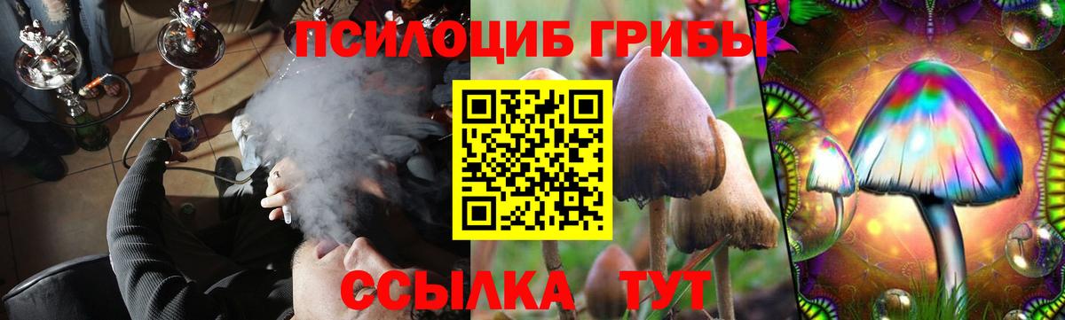 Псилоцибиновые грибы прущие грибы Кудрово